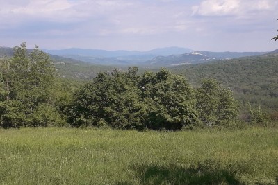 Land for sale near Grožnjan